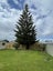 57 Rugby Street, Awapuni, Palmerston North - Carousel 18