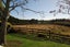 362 Ostrich Road, Patumahoe, Pukekohe - Carousel 2
