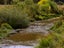 327 Wanganui Flat Road, Harihari - Carousel 34