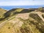452 Southernthread Road, Brooklyn, Wellington - Carousel 9