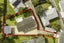 1/15 Lendic Avenue, Henderson, Auckland - Carousel 8
