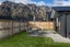 39 Woolshed Road, Jacks Point, Queenstown - Carousel 19