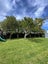 139 Western Springs Road, Morningside, Auckland - Carousel 20