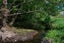0 Makotuku Valley Rd (State Highway 4), Raetihi, Raetihi - Carousel 6