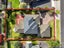 99 Rototuna Road, Rototuna, Hamilton - Carousel 22