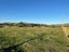 26 Carr Street, Dannevirke, Tararua, Manawatu / Whanganui - Carousel 6