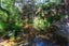 877 Tiki Quarry Road, Preece Point, Coromandel - Carousel 50
