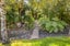124 Maui Pomare Road, Nikau Valley, Paraparaumu - Carousel 38
