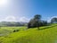 0 Lemonwood Rise - Carousel 9