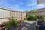 12A Burns Street, Gate Pa, Tauranga - Carousel 14