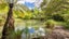 1196 State Highway 1, Manakau, Levin - Carousel 1