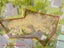 6 Embassy Place, Glenfield, Auckland - Carousel 8