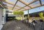 120 Eban Avenue, Hillcrest, Auckland - Carousel 13