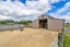 104A Mannings Road, Carrington - Carousel 19