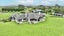 195 Batty Road, Kingseat, Papakura - Carousel 1