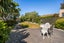 26 Elisha Drive, Witherlea, Blenheim - Carousel 30