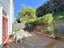 256 RIDDIFORD STREET, NEWTOWN, WELLINGTON - Carousel 3