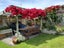 10 Wallnutt Avenue, Waihi Beach, Waihi Beach - Carousel 15