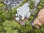 11A Wernham Place, Northcote, Auckland - Carousel 16