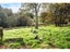 80 Pye Road, Geraldine - Carousel 16