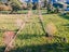 132 Sheep Dip Road, Woodbury - Carousel 4