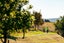 22/10 Trieste Way, Paraparaumu, Paraparaumu - Carousel 10