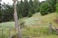 0 Bute Rd, Mangapakeha, Masterton - Carousel 7