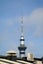 107/28 Balfour Road, Parnell, Auckland - Carousel 16