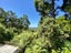 16 Manuka Road, Titirangi, Auckland - Carousel 33