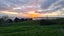 915 Waikare Road, Waerenga - Carousel 31