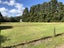 970 Kahikatea Flat Road, Kaukapakapa - Carousel 3