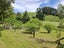 227 Whangamata Road, Kinloch, Taupo - Carousel 6