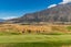 3 Water Race Lane, Jacks Point, Queenstown - Carousel 20