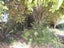 94 Amberley Avenue, Highbury, Palmerston North - Carousel 15