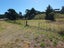 35 Wylie Road, Foxton Beach, Foxton - Carousel 1