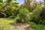 644 Upper Plain Road, Upper Plain, Masterton - Carousel 43