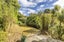 43 Farnham Street, Mornington, Wellington - Carousel 19