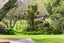 24 Grassmere Road, Henderson Valley, Auckland - Carousel 3