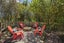 44A Glen Ida Way, Tauwhare, Hamilton - Carousel 35