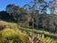 174 Zanders Road, Waimauku - Carousel 22