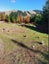6340 Route 52, Dannevirke - Carousel 31