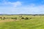 208 Burtt Road, Drury - Carousel 20