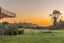 101 Veale Way, Fairdown, Westport - Carousel 16