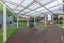 477B Richardson Road, Mount Roskill, Auckland - Carousel 2