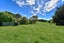 49 Crawford Road, Gore - Carousel 22