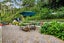 23 La Veta Avenue, Mount Albert, Auckland - Carousel 9