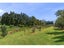 202 Puketotara Road, Waipapa, Kerikeri - Carousel 37