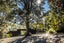 66 Jacks Pass Road, Hanmer Springs, Hanmer Springs - Carousel 24