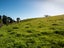 0 Ruatiti Rd, Ruatiti - Carousel 12