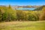 1180 Oneriri Road, Kaiwaka - Carousel 29
